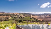 Private Wine-Estate in California
