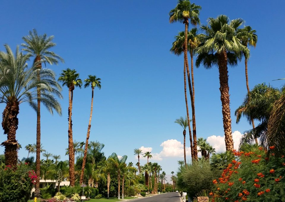 Palm Springs: Eine Deutsche in der Wüste Kaliforniens