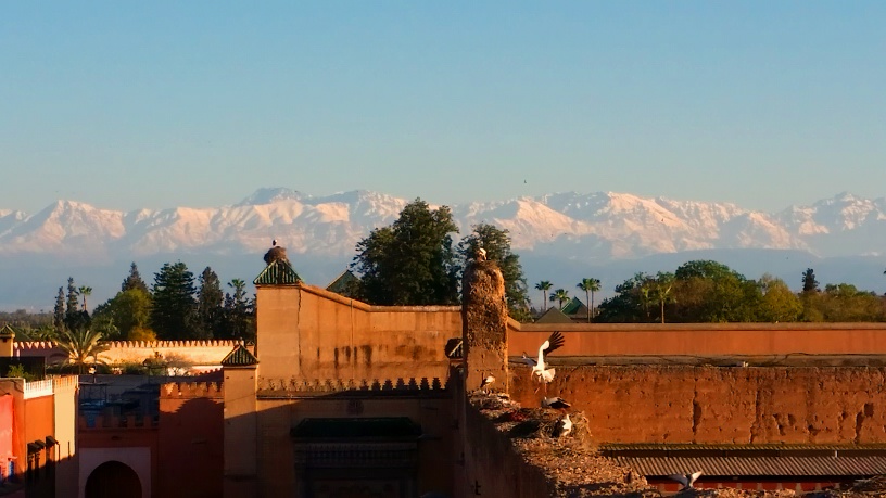 A perfect day in Marrakech
